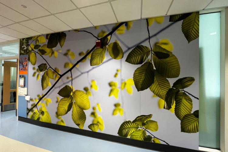 Penn State Health Milton S Hershey Medical Center Wall Panel Systems penn-state-health-milton-s-hershey-medical-center-wall-panel-systems